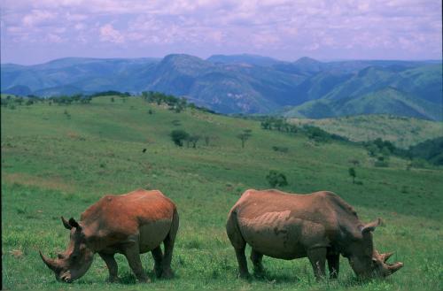 SA National Parks