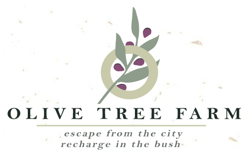 The Olive Tree Farm Logo